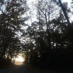 Meet your Posher, Rosa